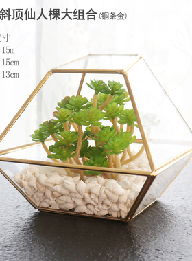 现代简约办公室几何玻璃罩子花房B摆件装饰品创意家居客厅桌面摆