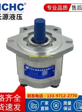 HCHC合肥长源液压齿轮泵CBW-F306/F310-CLB油泵修理包齿轮泵总成