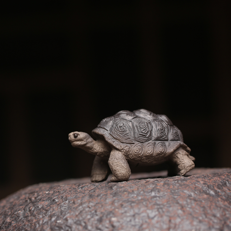 紫砂陆龟小茶宠富l甲一方 小摆件茶玩雕塑手把件家居送礼小巧乌龟