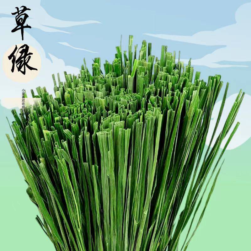 26年烘干提摩西草段干草兔子食用草粮荷兰猪草饲料豚鼠专用食物