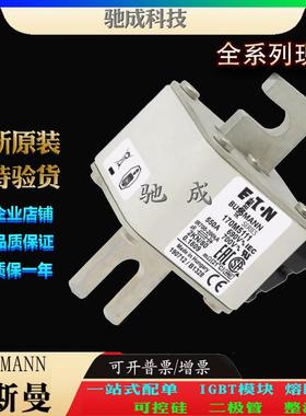 巴斯曼170M5111 170M5112 170M5113 原装进口零售 快速熔断器