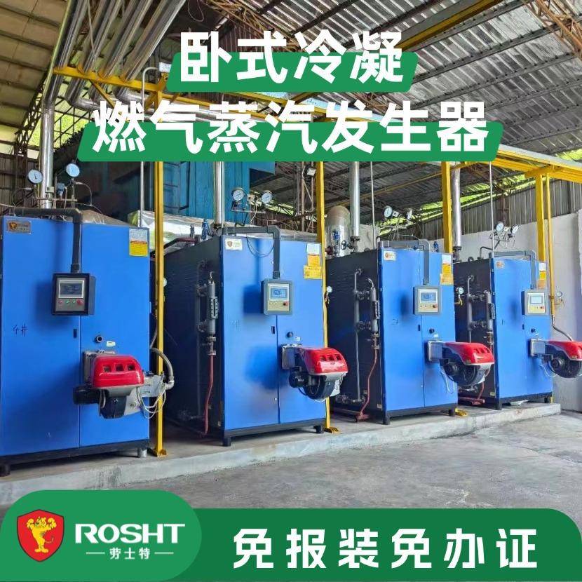 厂家直销屠宰厂冷凝全自动节约低耗加热蒸汽0.5吨发生器