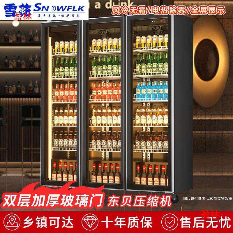 冰柜雪花啤酒冰箱网红酒展示柜冷藏酒吧饮料柜水冷藏展示商用冷柜