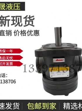 台湾KCL凯嘉50T-07/14/17/20/23/26/36/39/43-LR/FR-PA-2/1叶片泵