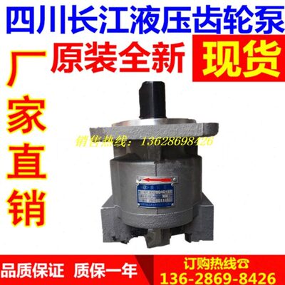 F长 BY-BX四川30301C-油泵50江30 R- 202540BY1LC-BYCRFC1F01T?8