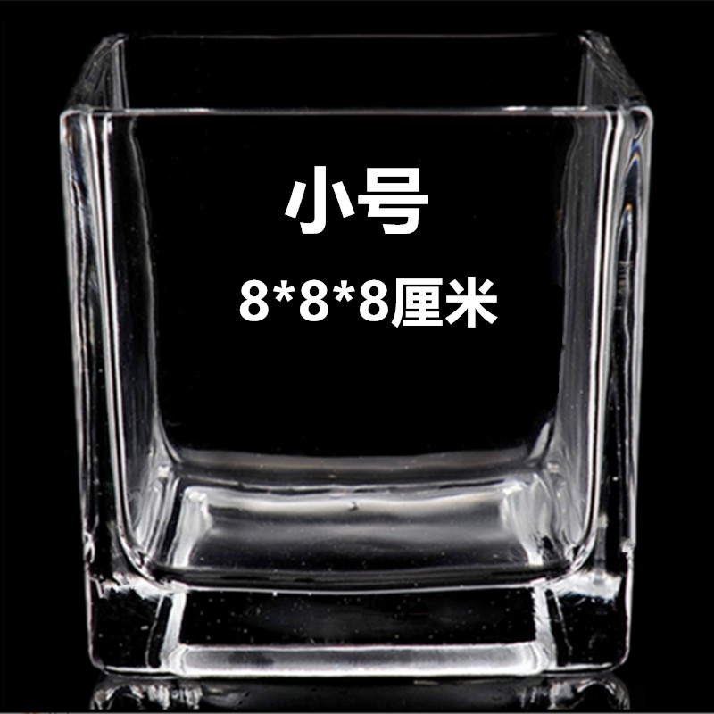 水培植物玻璃四方方缸花瓶水养白掌客厅摆K件台面透明水晶玻璃花