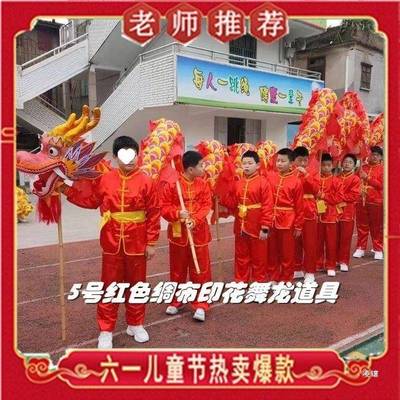 5号中小学生儿童舞龙舞狮道具绸缎布龙舞龙灯服装龙头9节钢丝圈龙
