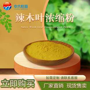 现加工中大恒源 辣木叶浓缩粉 食品级植物提取物 量大从优