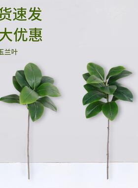 玉兰叶单枝仿真绿植酒店婚礼婚庆装饰室内客厅桌面摆件假植物造景