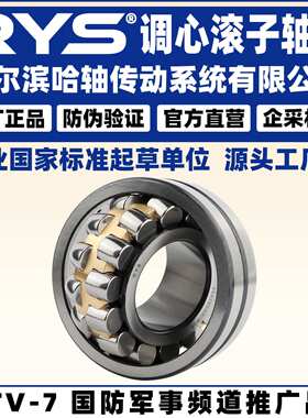 RYS 哈轴传动 22213 22214 22215 22216 CA CC E K /W33