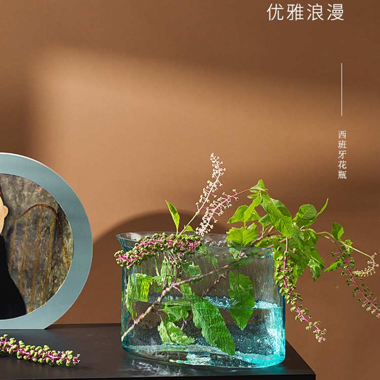 创意玻璃花瓶工艺品插花水养玻璃花瓶水培鲜花客厅餐桌花瓶摆件