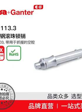Elesa Ganter伊莉莎冈特 GN 113.3 不锈钢滚珠锁销 AISI 303