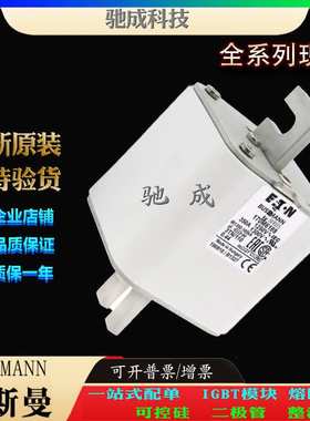 巴斯曼170M6189 170M6190 170M6191 大量现货优价供应 高速熔断器