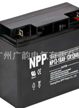 耐普密封性电池NP12V-38AH NPP蓄电池12v38ah 耐普原厂