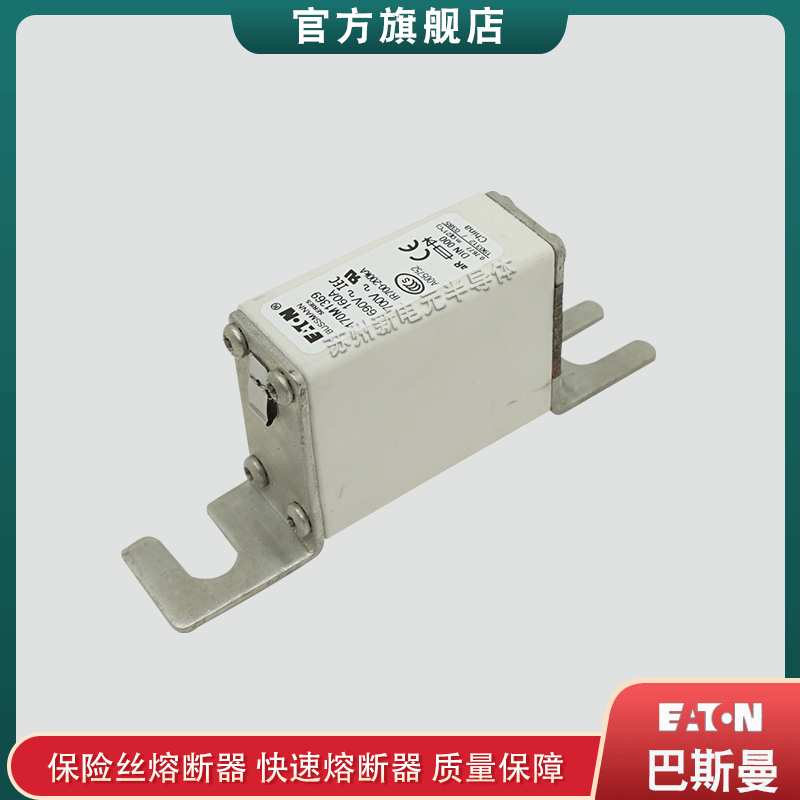 170M0209 0211 0212 0213 0214 0215 0216 0217 巴斯曼快速熔断器