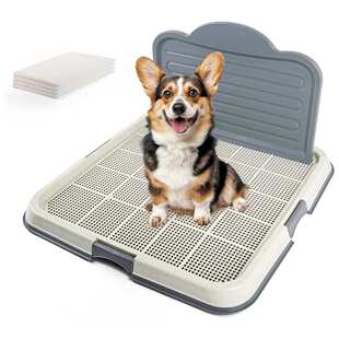 热销爆款可拆卸高墙防溅尿片夹宠物狗厕所网眼支架托盘+4片隔尿垫