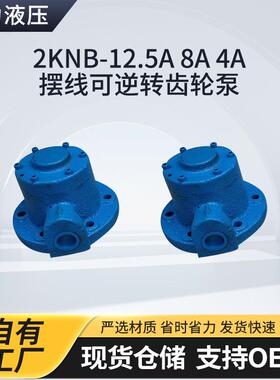 2KNB-12.5A8A4A摆线可逆转齿轮泵减速机润滑泵齿轮箱油泵