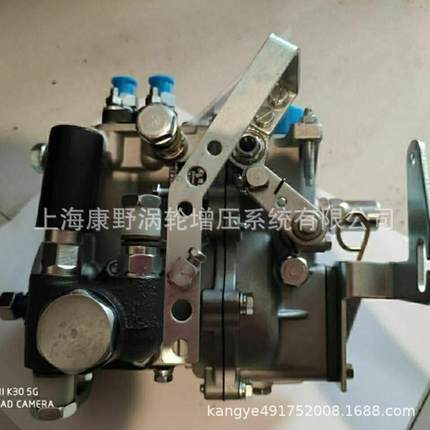 喷油泵 BH2Q85R8 12C000-1111100 2Q80-1 2Q81-1 2Q82 2Q83 2Q84