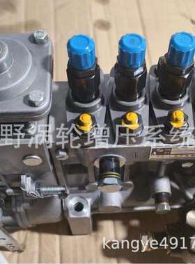 适用华菱的喷油泵BP20240 618DA1111001C和BP20056 618DA1111001B