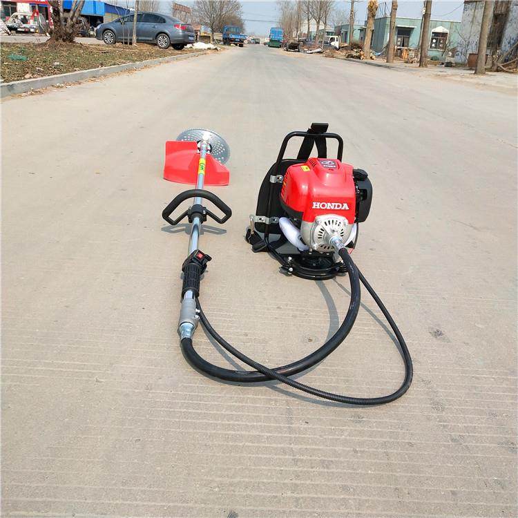 农用大棚果园除草机 多功能汽油割草机 大棚菜地使用背负式除草机,鲜花速递/花卉仿真/绿植园艺,割草机/草坪机,淘宝优惠券,粉丝福利购,淘宝优惠卷