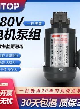 TOP-10A大吸力三角润滑泵电动机油齿轮油泵380v可调直插摆线泵