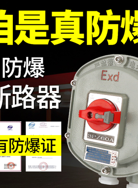 BDZ52-10A20A40A63A一体式防爆断路器2P3P防爆空气开关配电箱接线
