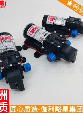 直流自吸水泵 增压泵压力 高压真空泵 鄂往复泵Galileo Galilei/