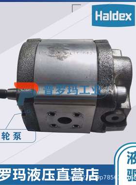 瑞典HALDEX 齿轮泵 WP09A1B190R03BA121N/180202国产代替现货供应