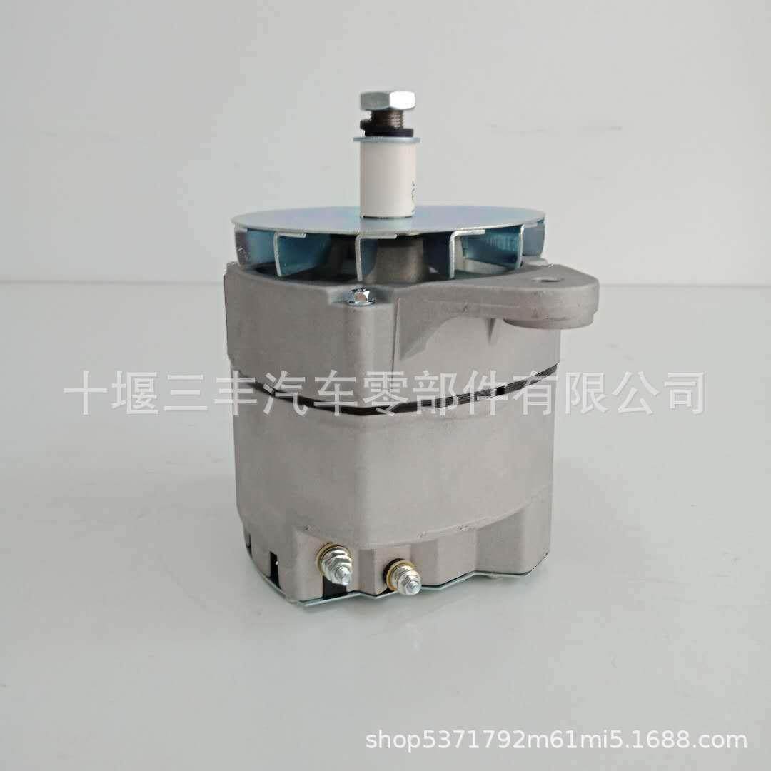 发电机组配件柴油发动机配件X15发电机4971861工程机械发电机,鲜花速递/花卉仿真/绿植园艺,割草机/草坪机,淘宝优惠券,粉丝福利购,淘宝优惠卷