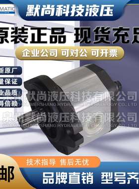 意大利DUPLOMATIC迪普马GP3-0225/0207/0264/0337R01F/20N 齿轮泵