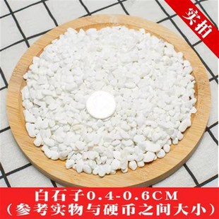 四川白石子鹅卵石原石多肉铺面石C园艺庭院造景花盆枯山水白石子