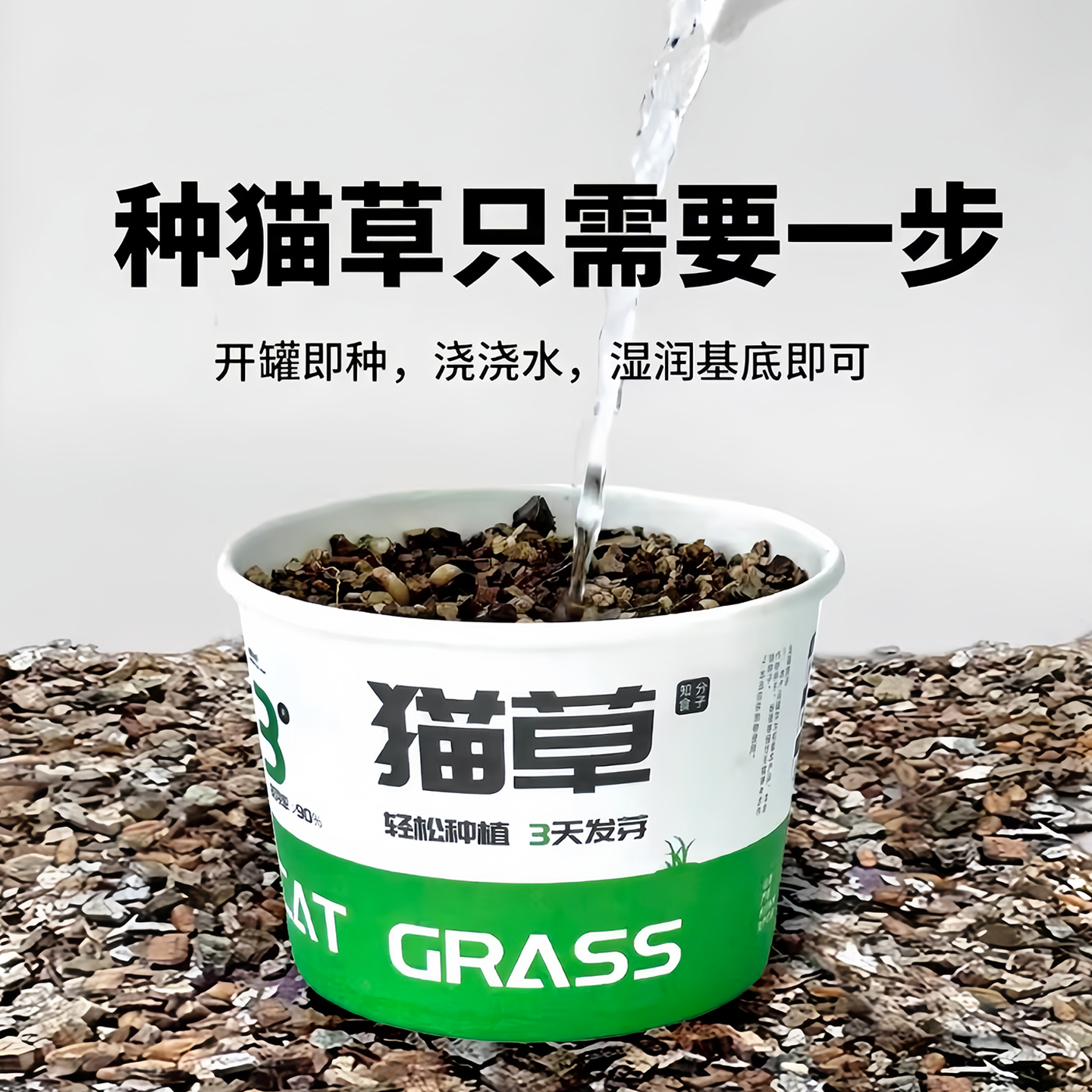 懒人猫草盆栽种子猫薄荷猫咪零食温和排毛化草用品泡面型设计养植