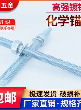 高强度国标化学螺栓膨胀螺丝镀锌锚栓M8M10M12M14M16M18M20M24M30
