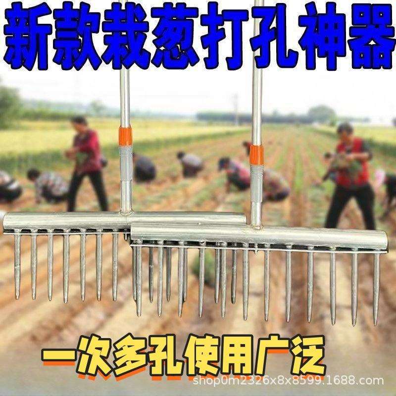 【栽苗打孔器】栽葱神器种菜工具大葱种植叉子栽苗农用小型打孔器