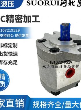 F55 FRR F3齿轮泵-FR1A0UIR索锐PP-F-SU6 F 1A.21-R F8F4HGRRHGO