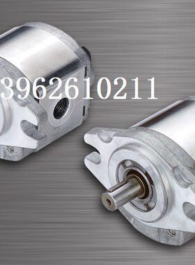 M2 S1P1PP1P1M0RL/HONORMR0LM1P 1PL/R1P/R0 1P9/13齿轮泵钰盟L