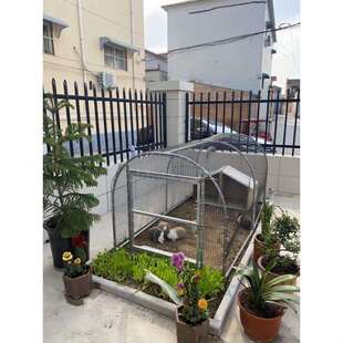 隧道鸡笼走地家用跑道兔笼养鸡养殖农场鸡舍搭建笼子户外溜达庭院