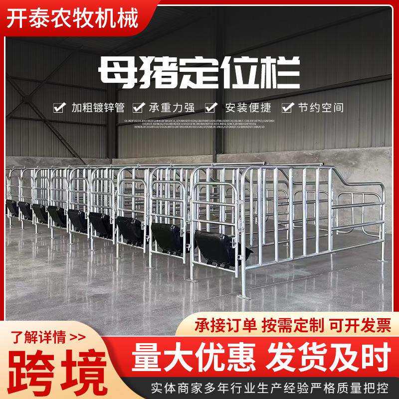 母猪定位栏限位栏落地式简易产床栏养猪设备猪圈围栏母猪限位栏