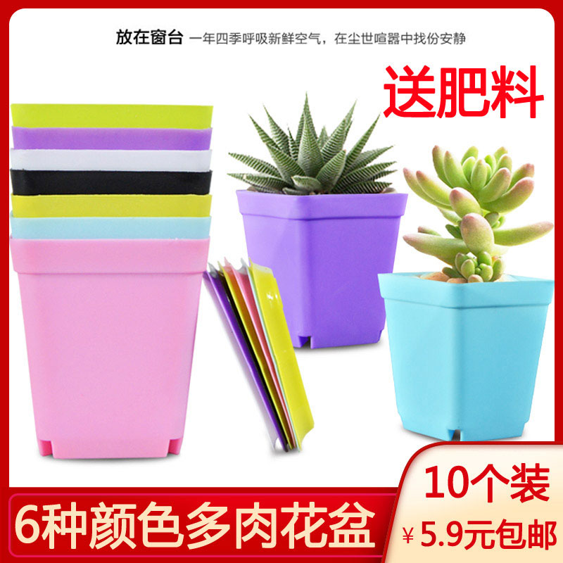 园艺糖果花盆彩色方形小花盆多肉花盆塑料花盆配托盘迷你花盆