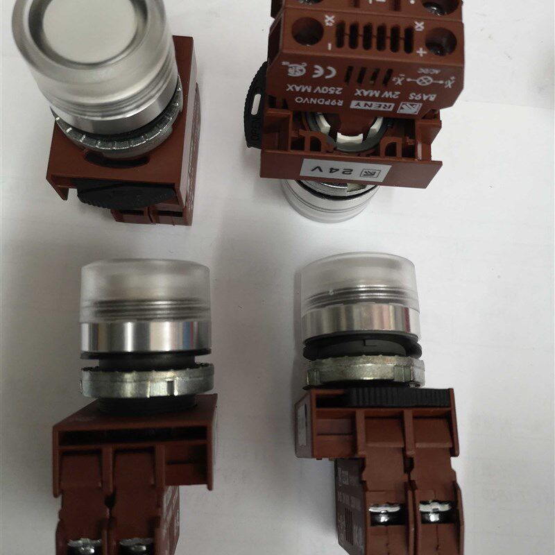 R9C10VN 台湾雷力reny 22mm金属平头带灯按钮1常开 LED灯泡 RAPIF
