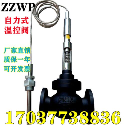 ZZWP-16C自力式温控阀自力式蒸汽导热油温度调节阀自力式控温DN50