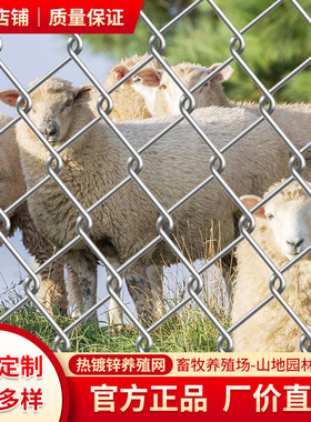 园林网拦鸡果园网养殖网护栏防护网网格铁丝网镀锌包塑勾花网围栏