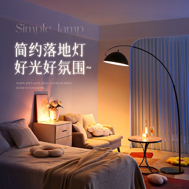 装饰落地灯客厅沙发旁边钓鱼阅读床头台灯氛围感轻奢Y高级现代简