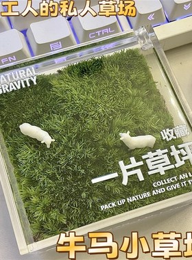 手里有块地牛马私人草坪工位桌z面绿植苔藓微景观解压摆件治愈礼