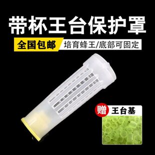 育王多功能咬杯罩台王保护带笼保护囚王王罩防笼罩包邮养蜂工具