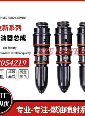康-明斯发动机 NTA855喷油器3054220油嘴3054219柴油配件4914308