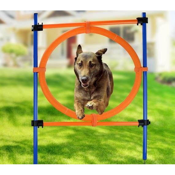 狗狗训练器材训狗神器训犬用品 狗狗跨栏训狗跳圈宠物敏捷训练器
