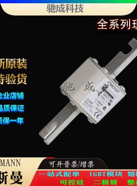 巴斯曼170M3167 170M3168 170M3169 大量现货量大价优 高速熔断器