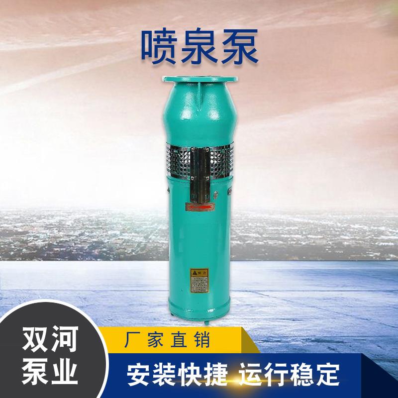 供应 QSP喷泉泵 高扬程喷泉泵 卧式喷泉泵 304不锈钢喷泉泵