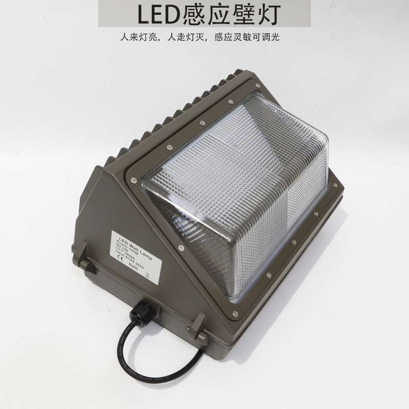 车库LED灯人体感应30W40W50W60W壁灯雷达感应微亮调光灯具